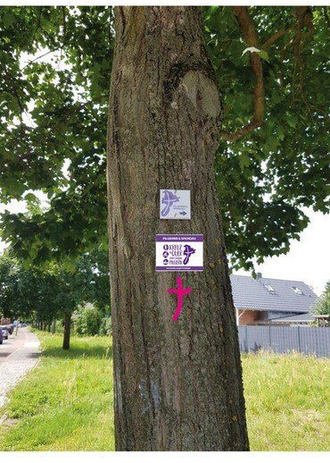 Baum mit drei Pilgerzeichen: Schild mit Kirchenkreislogo, Aufkleber mit Pilgerlogo und aufgesprühtes Kreuz