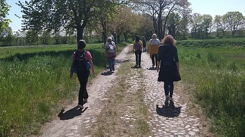 Pilgernde Menschen auf Weg zwischen Rieselfeldern.