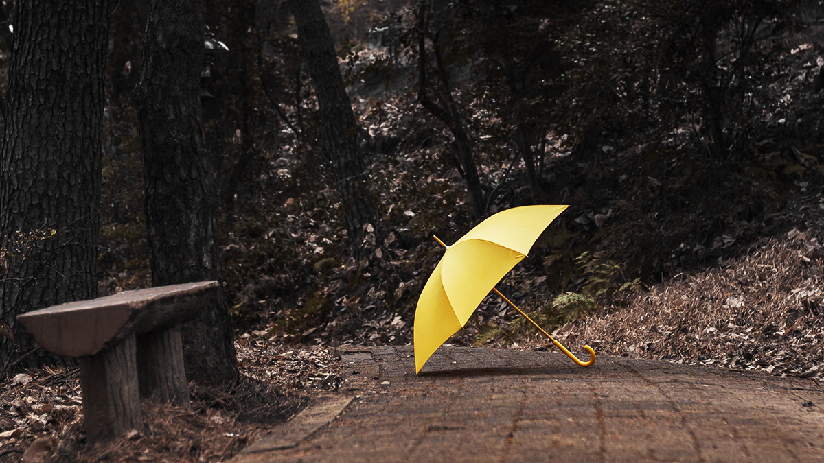 Ein gelber Schirm liegt auf einem gepflasterten Weg im Park.